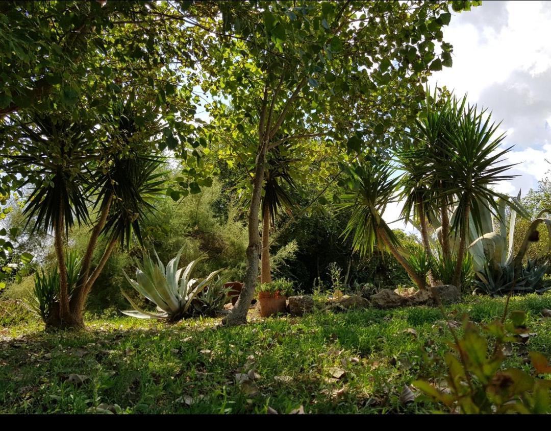 Salento Lapezzaaculuri Villa Guagnano ภายนอก รูปภาพ